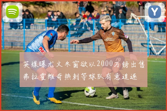 英媒曝尤文冬窗欲以2000万镑出售弗拉霍维奇热刺等球队有意追逐