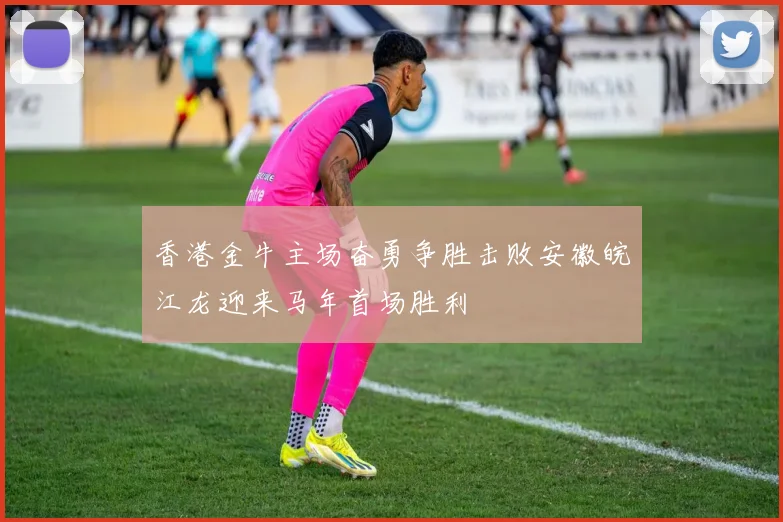 香港金牛主场奋勇争胜击败安徽皖江龙迎来马年首场胜利