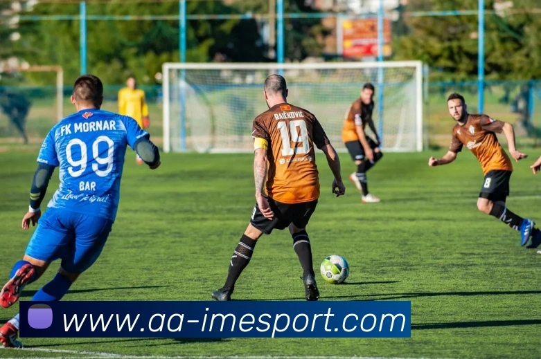 IM电竞平台生态图