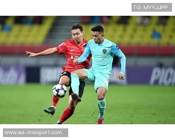 中超最佳阵容揭晓法比奥瓦科领衔蓉城海港球员表现突出