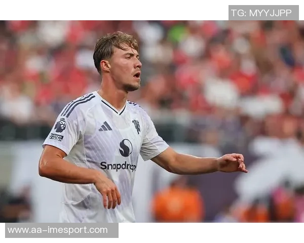 意甲12月最佳球员候选名单揭晓霍伊伦劳塔罗普利西奇伊尔迪兹争夺荣誉