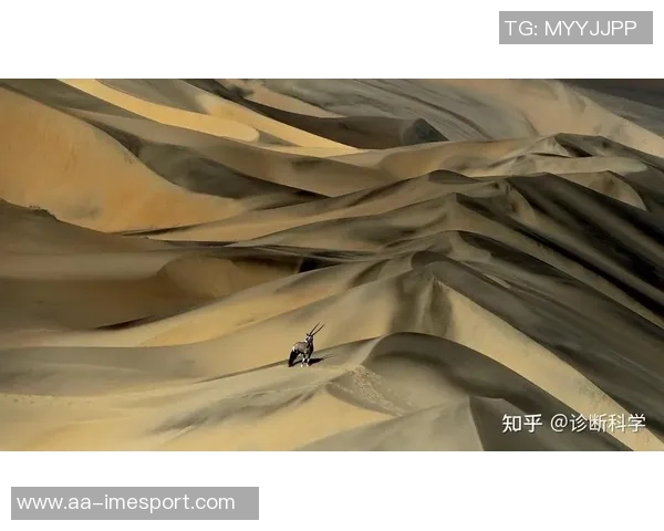 拉波尔塔强调及时通知足协亚马尔诊断结果以避免争议