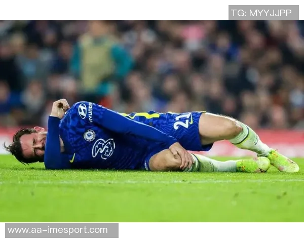 斯特拉斯堡球员身价波动分析：帕尼切利等十人上涨奇尔维尔等十人下滑